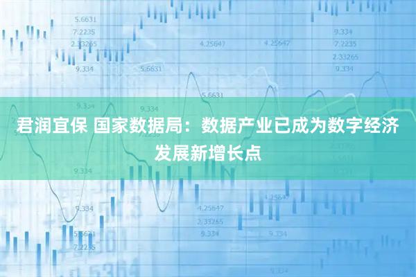 君润宜保 国家数据局:数据产业已成为数字经济发展新增长点