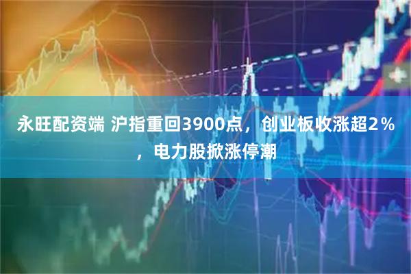 永旺配资端 沪指重回3900点,创业板收涨超2%,电力股掀涨停潮
