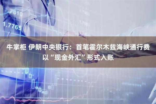 牛掌柜 伊朗中央银行：首笔霍尔木兹海峡通行费以“现金外汇”形式入账
