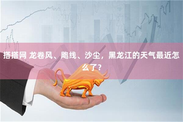 搭搭网 龙卷风、飑线、沙尘,黑龙江的天气最近怎么了?