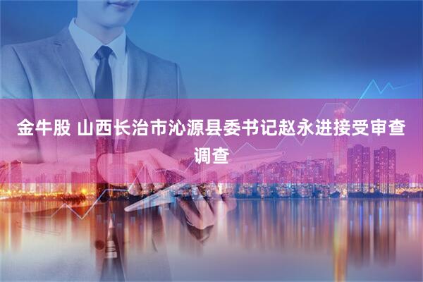 金牛股 山西长治市沁源县委书记赵永进接受审查调查